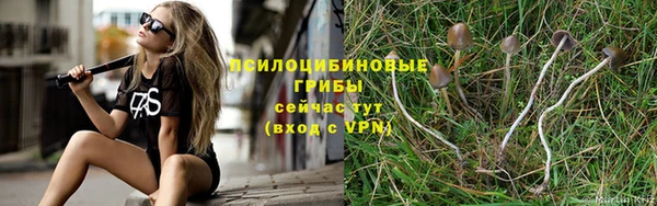 ECSTASY Абдулино