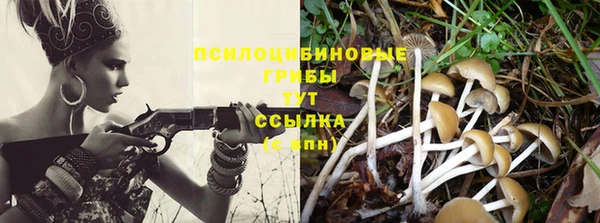 первитин Абинск