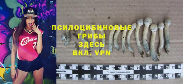 первитин Абинск