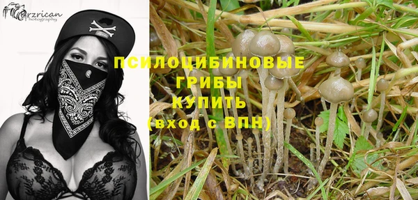 первитин Абинск